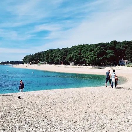 Aquarelle No 2 And 4