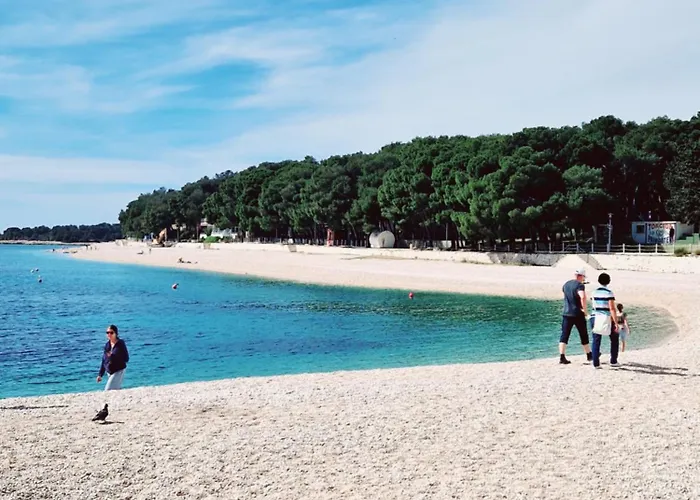 Aquarelle No 2 And 4